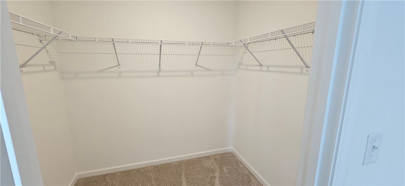 This spacious walk-in closet offers ample storage This spacious walk-in closet offers ample storage
