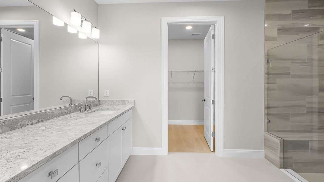 Owner's Bath