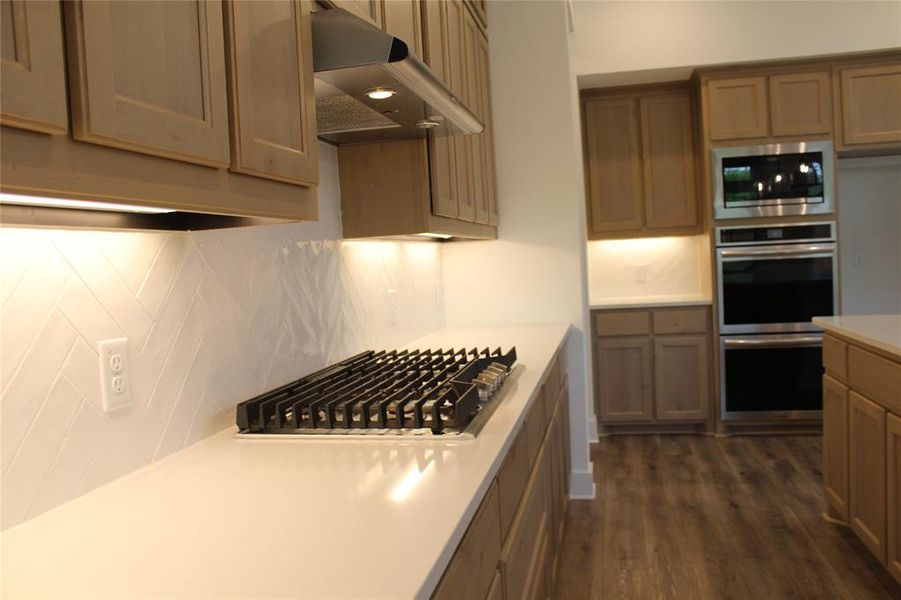 Kitchen with stainless steel appliances, under cabinet range hood, tasteful backsplash, dark wood-style floors, and light countertops