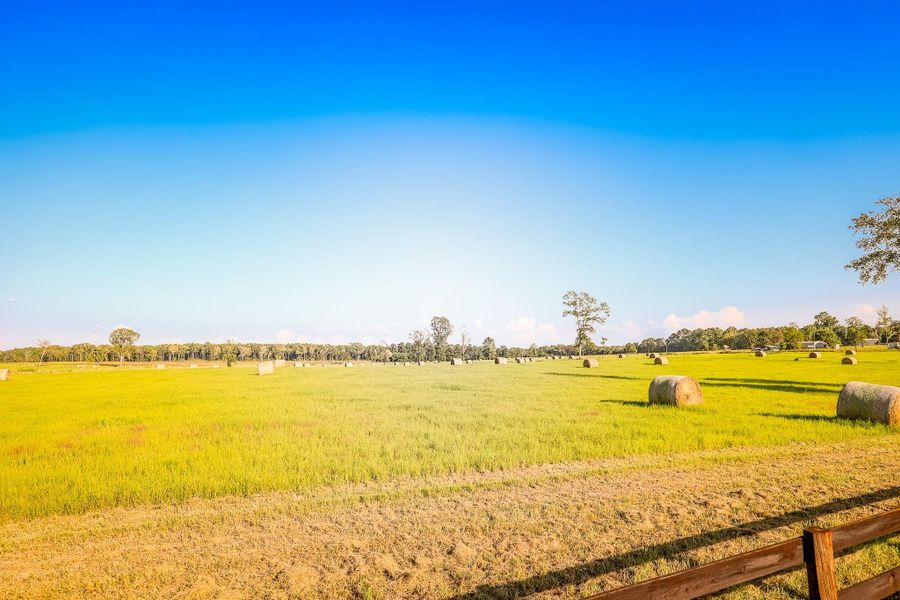 Natural landscape and outdoor views near in Hallsville (Image 9). Natural landscape and outdoor views near in Hallsville (Image 9).