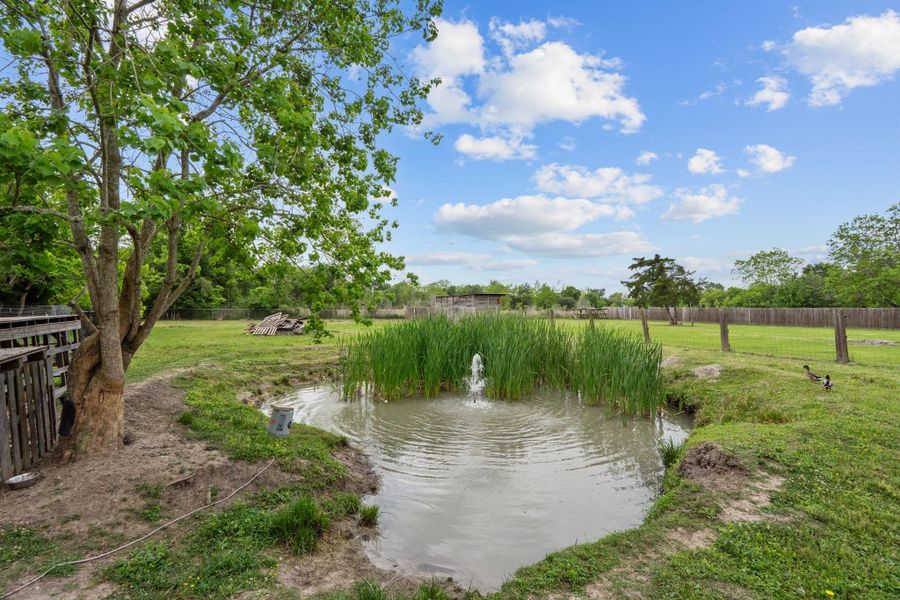 Natural landscape and outdoor views near  in Santa Fe (Image 38).