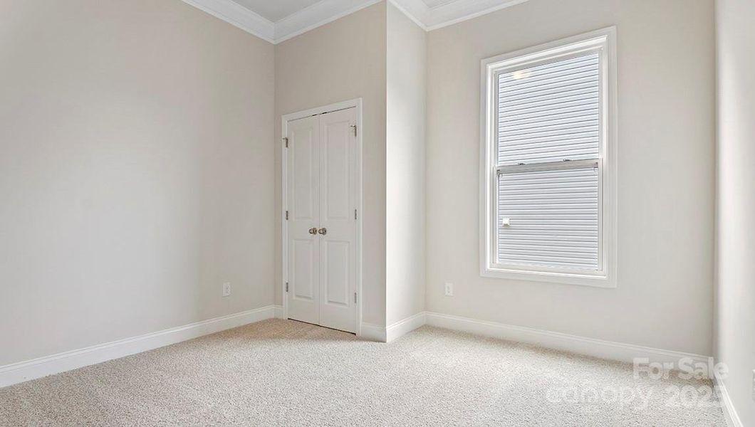 Photos are representative