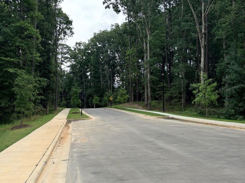 Natural landscape and outdoor views near Woodland Crossing in Zebulon (Image 47).