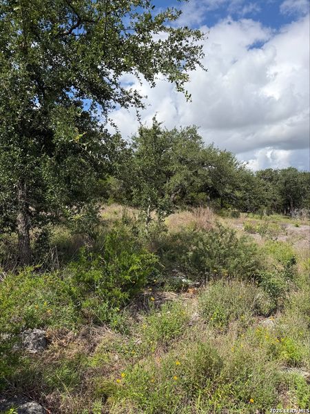 Natural landscape and outdoor views near  in New Braunfels (Image 15).