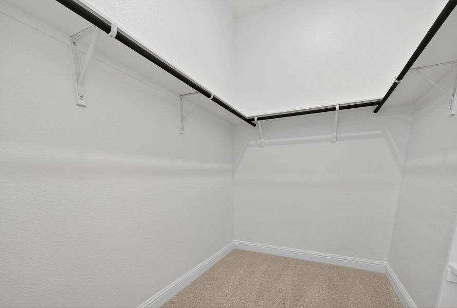Spacious closet featuring light carpet