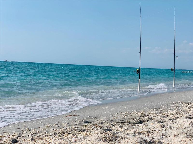 Natural landscape and outdoor views near  in Port Charlotte (Image 23).