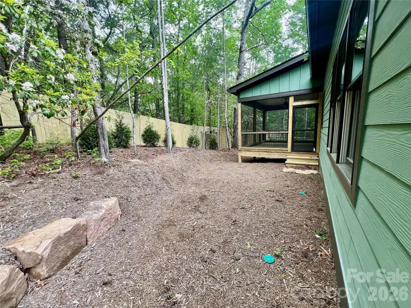 Back Yard