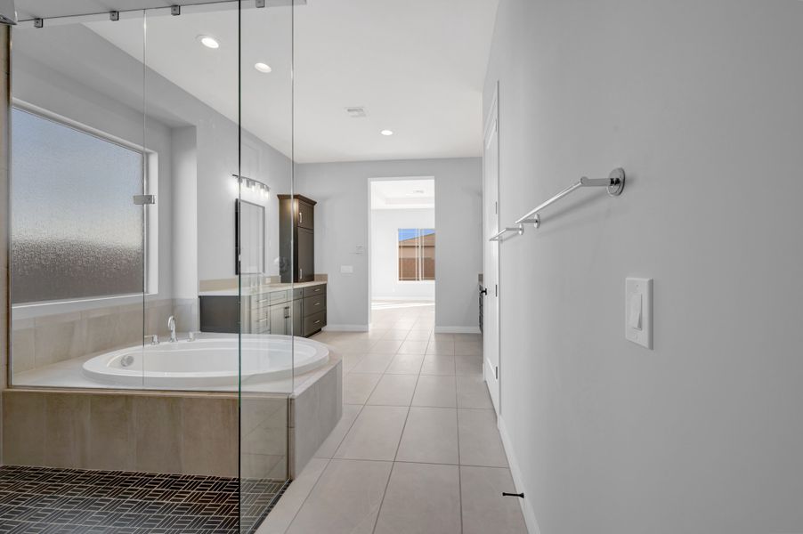 Owner's Bath