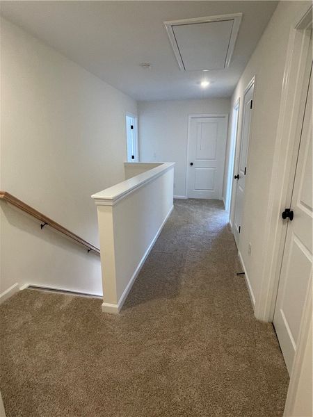 Spacious, unfurnished interior of a new home in Springwood Grove, Central (Image 19).