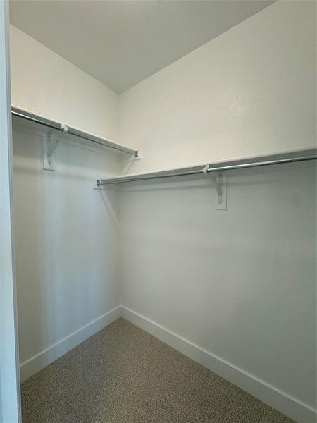 Walk in closet with carpet