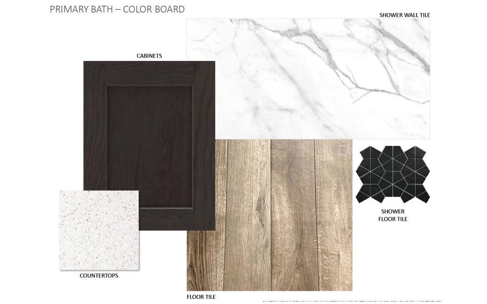 Image 13 of a home in Traditional Homes at Easton Park.