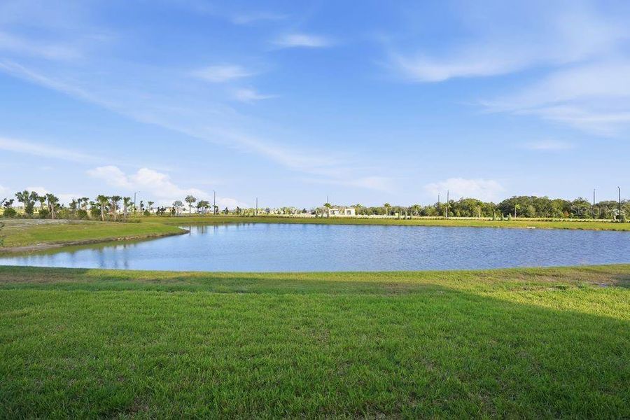 Natural landscape and outdoor views near Palms at Coasterra in Palmetto (Image 32).