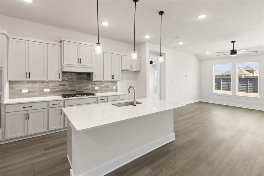 09. 7204 Indian Paintbrush - Kitchen (3)