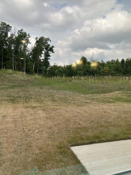 Natural landscape and outdoor views near The Wilcox in Greensboro (Image 31). Natural landscape and outdoor views near The Wilcox in Greensboro (Image 31).