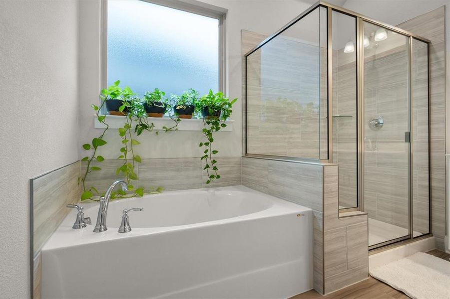 Furnished interior view inside a new home in Inspiration Collection at Bridgewater, Midlothian (Image 30).