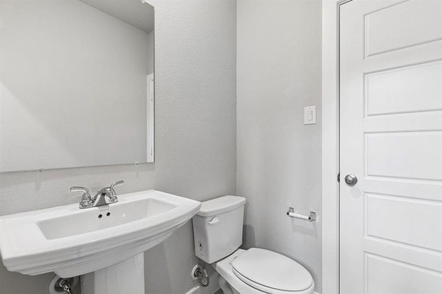 2101 Hazel Lily 2101 Hazel Lily