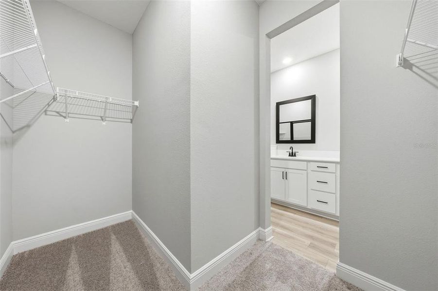 Spacious, unfurnished interior of a new home in Gum Lake Preserve, Lake Alfred (Image 39).