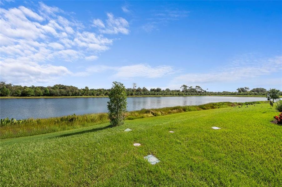 Natural landscape and outdoor views near  in Sarasota (Image 49).