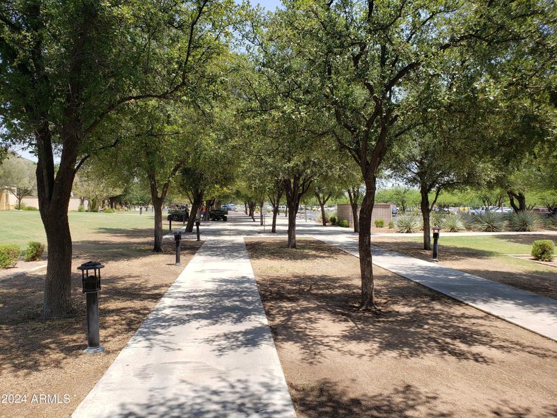 Pickelball, Tennis Courts Walkway