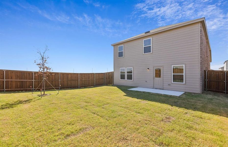Large fenced in backyard