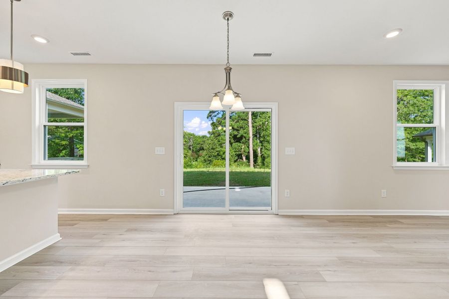 Spacious, unfurnished interior of a new home in Neill's Pointe, Angier (Image 16).