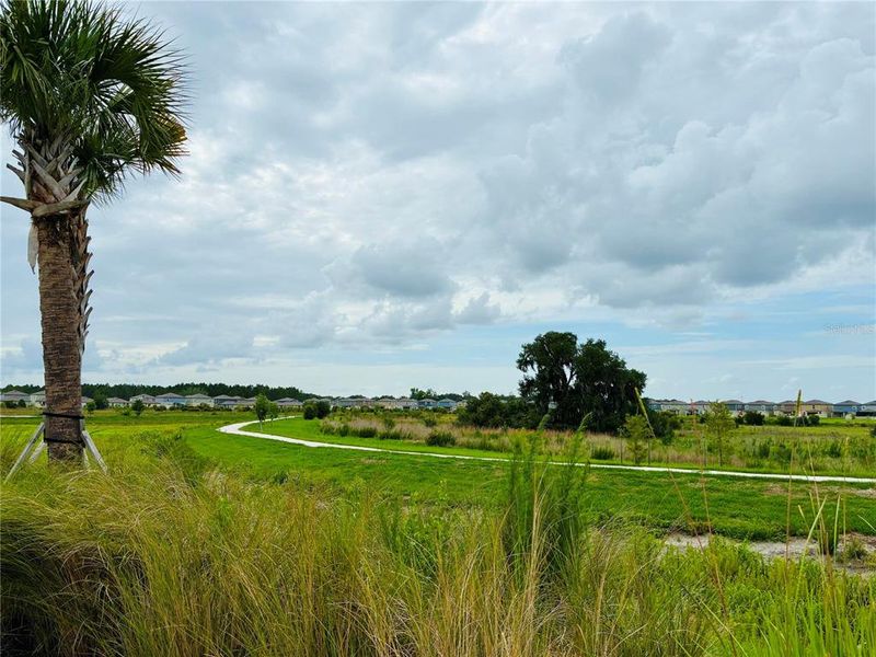 Natural landscape and outdoor views near Two Rivers in Zephyrhills (Image 28).