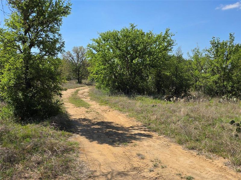 Natural landscape and outdoor views near  in San Saba (Image 19).