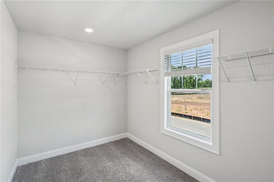 Image 30 of a home in Martin Springs - Estate Series.