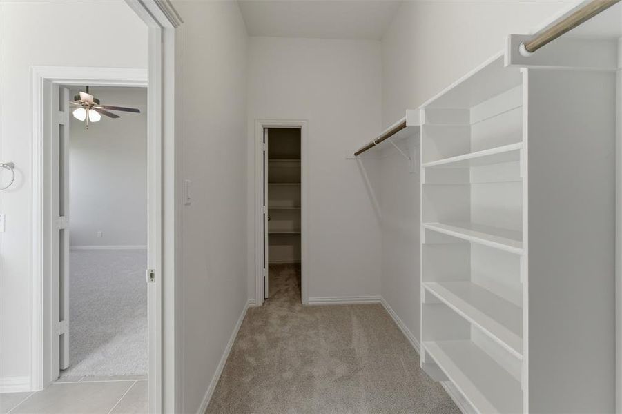 Walk-in closet featuring built-in shelving, hanging rods, and carpet flooring