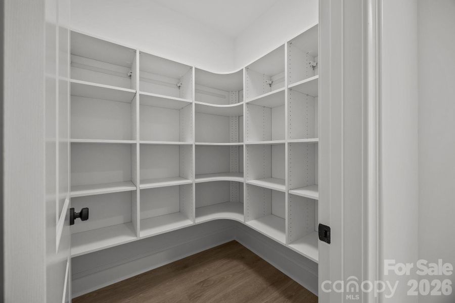 Walk-in pantry offers easy organization