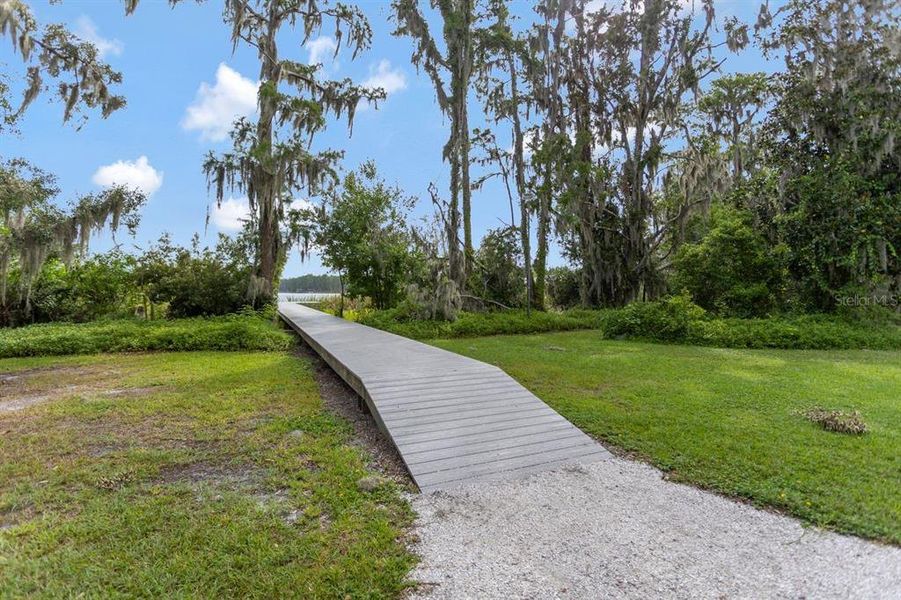 Natural landscape and outdoor views near in Land O' Lakes (Image 37). Natural landscape and outdoor views near in Land O' Lakes (Image 37).