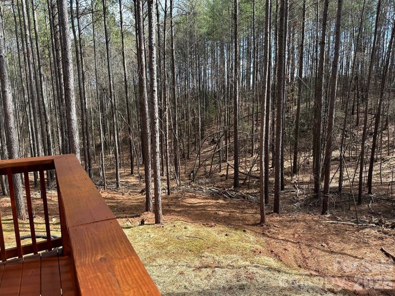 Natural landscape and outdoor views near  in Rutherfordton (Image 26).