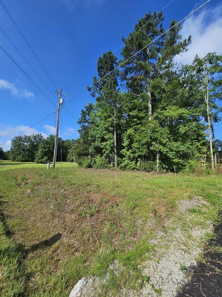 Natural landscape and outdoor views near in Hartsville (Image 8). Natural landscape and outdoor views near in Hartsville (Image 8).