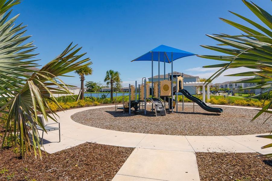 Community amenities in , Apollo Beach (Image 32).