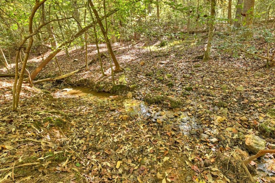 Natural landscape and outdoor views near in Ellijay (Image 27). Natural landscape and outdoor views near in Ellijay (Image 27).