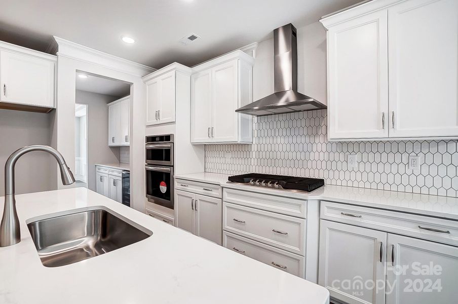 Gas Range and Designer Range Hood