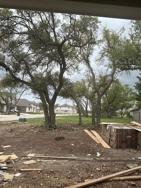 Exterior yard of Home Exterior yard of Home