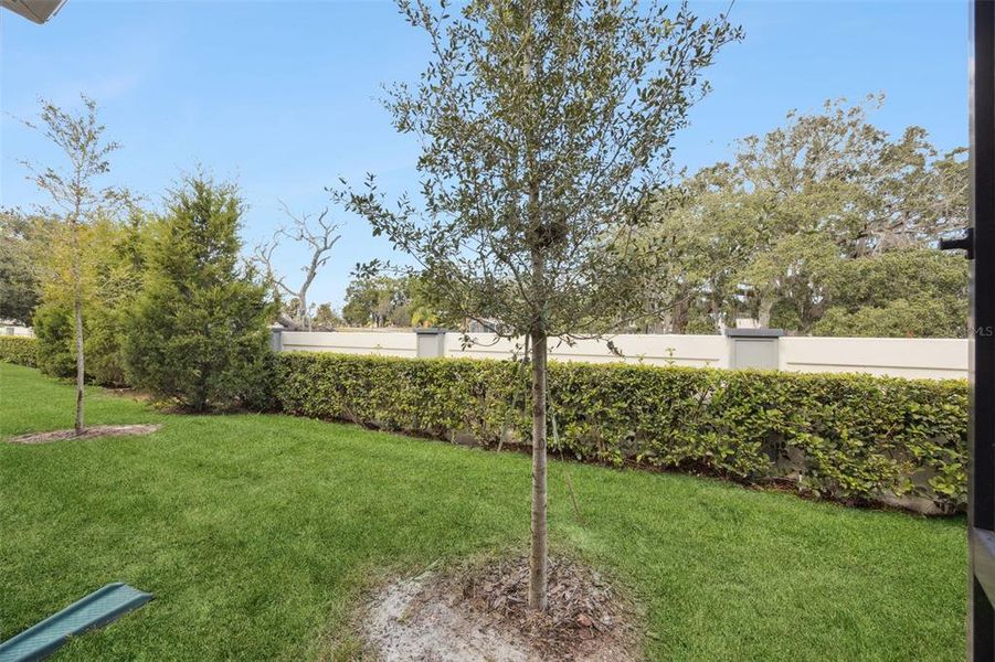 Natural landscape and outdoor views near Grayson Square in Winter Park (Image 38). Natural landscape and outdoor views near Grayson Square in Winter Park (Image 38).