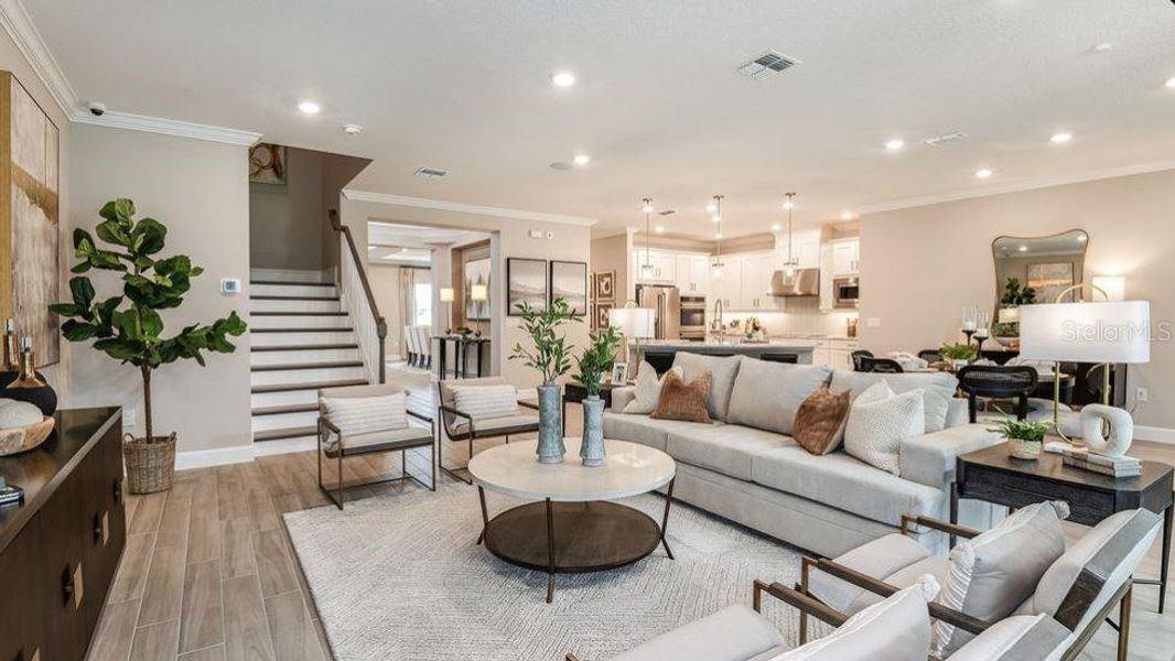 REPRESENTATIVE PHOTOS