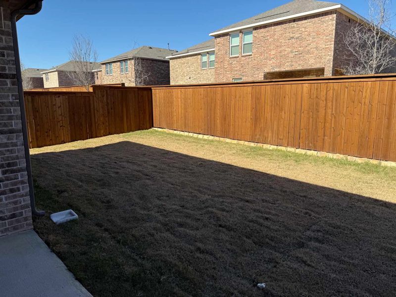 Backyard Construction Progress Backyard Construction Progress