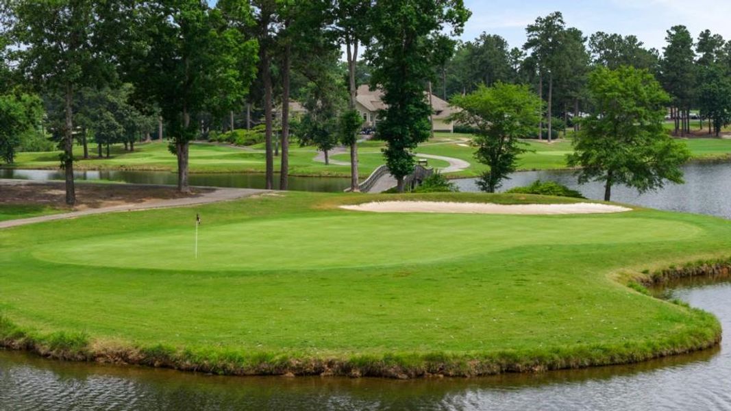 Natural landscape and outdoor views near Fairway 17 at Mirror Lake in Villa Rica (Image 30). Natural landscape and outdoor views near Fairway 17 at Mirror Lake in Villa Rica (Image 30).