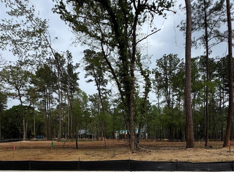 Natural landscape and outdoor views near Two Step Farm in Montgomery (Image 13). Natural landscape and outdoor views near Two Step Farm in Montgomery (Image 13).