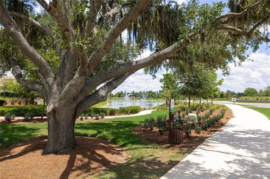 Natural landscape and outdoor views near Farm at Varrea in Plant City (Image 57).