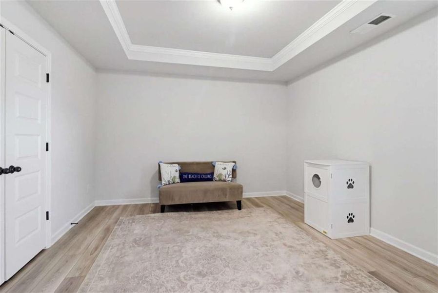 Furnished interior view inside a new home in Trinity Park, McDonough (Image 13).