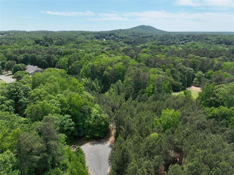 Natural landscape and outdoor views near Lanesborough in Marietta (Image 13). Natural landscape and outdoor views near Lanesborough in Marietta (Image 13).