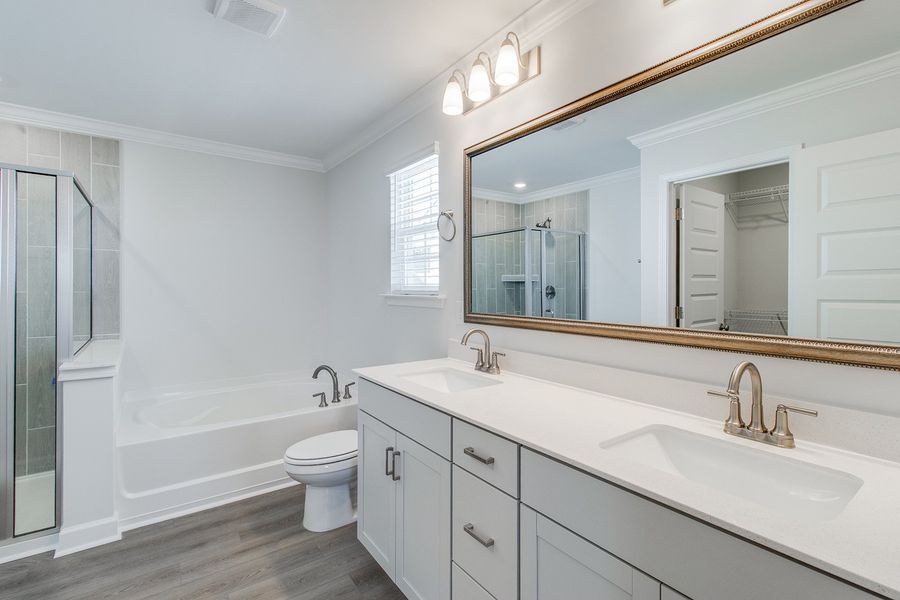 Furnished interior view inside a new home in Pebble Branch, Chapin (Image 11). Furnished interior view inside a new home in Pebble Branch, Chapin (Image 11).