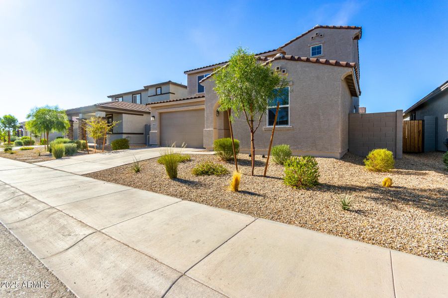 03 - Camino Del Oro 03 - Camino Del Oro