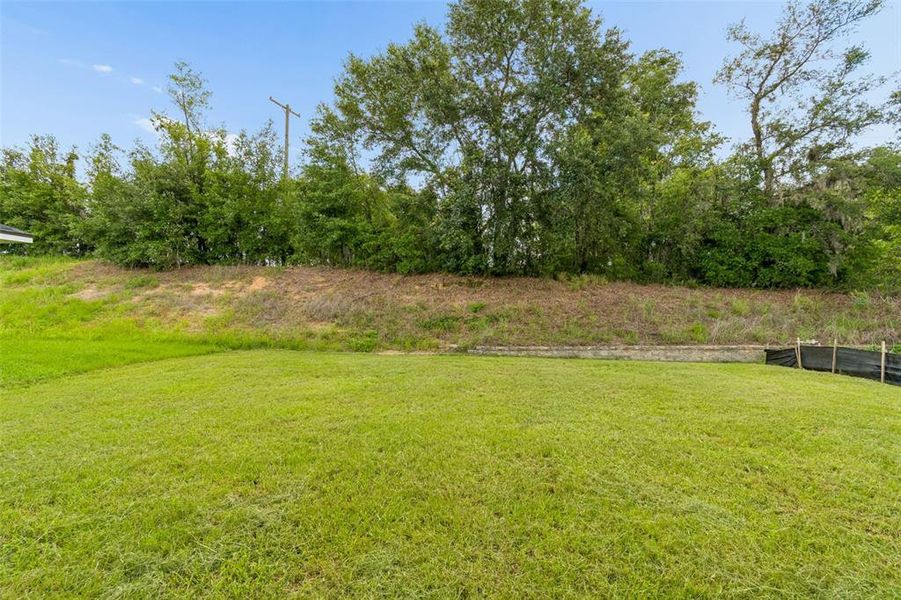 Natural landscape and outdoor views near Abbey Glen in Dade City (Image 92). Natural landscape and outdoor views near Abbey Glen in Dade City (Image 92).