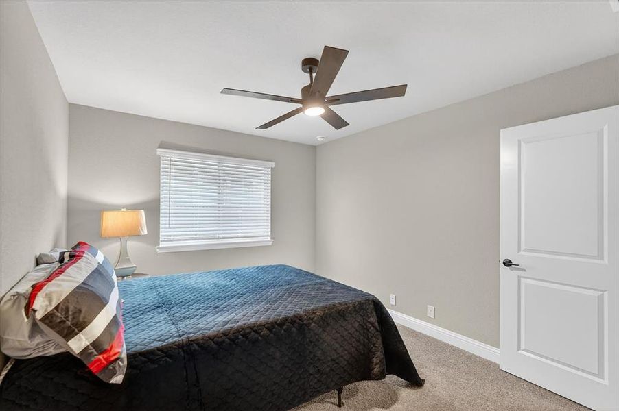 Carpeted room featuring a ceiling fan with integrated lighting, a white window with horizontal blinds, and a white two-panel interior door with matte black hardware Carpeted room featuring a ceiling fan with integrated lighting, a white window with horizontal blinds, and a white two-panel interior door with matte black hardware