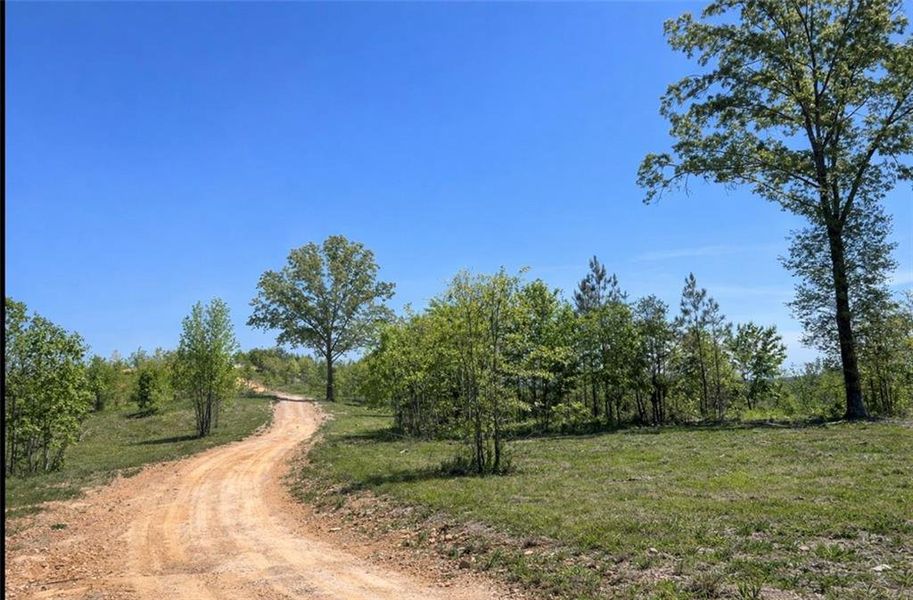 Natural landscape and outdoor views near  in Cave Spring (Image 34).